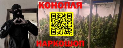 СК Усть-Илимск