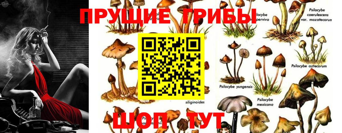 Галлюциногенные грибы Cubensis Альметьевск