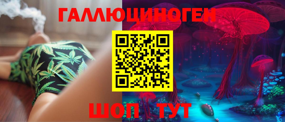 Альметьевск  Галлюциногенные грибы Psilocybe  Вход с VPN 